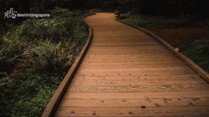 Submerged Boardwalk