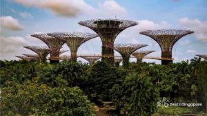 Supertree Grove