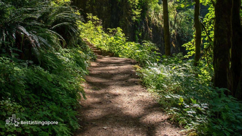 Terentang Trail
