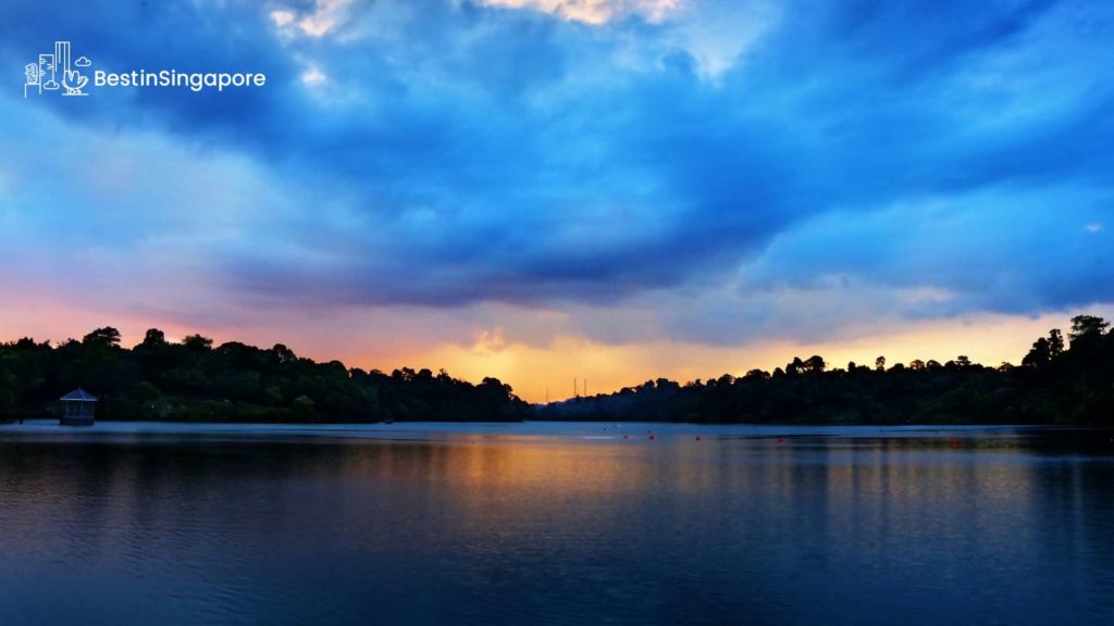 The Basics of MacRitchie Reservoir