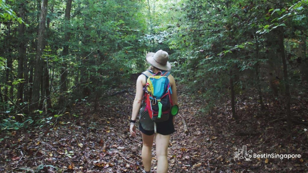 Themed Trails