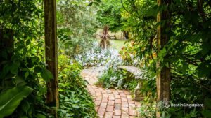 Therapeutic Garden