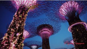 What are some awesome places in Singapore you can visit for free