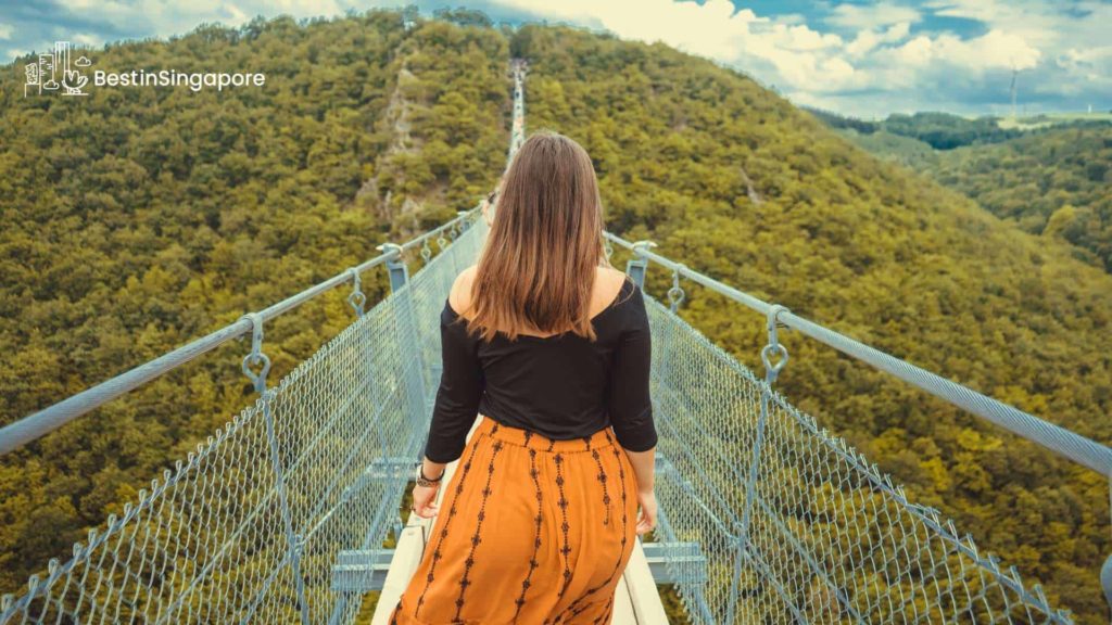 What are the attractions and facilities in MacRitchie Reservoir