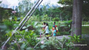 What are the attractions at Jurong Lake Gardens