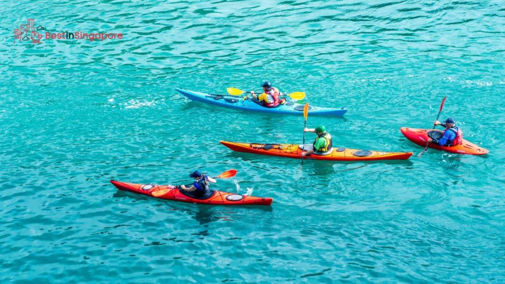 What are the best things to do in MacRitchie Reservoir