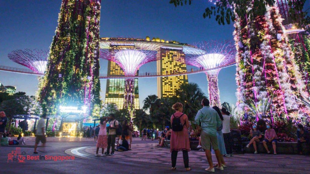 What are the pros and cons of living in Singapore