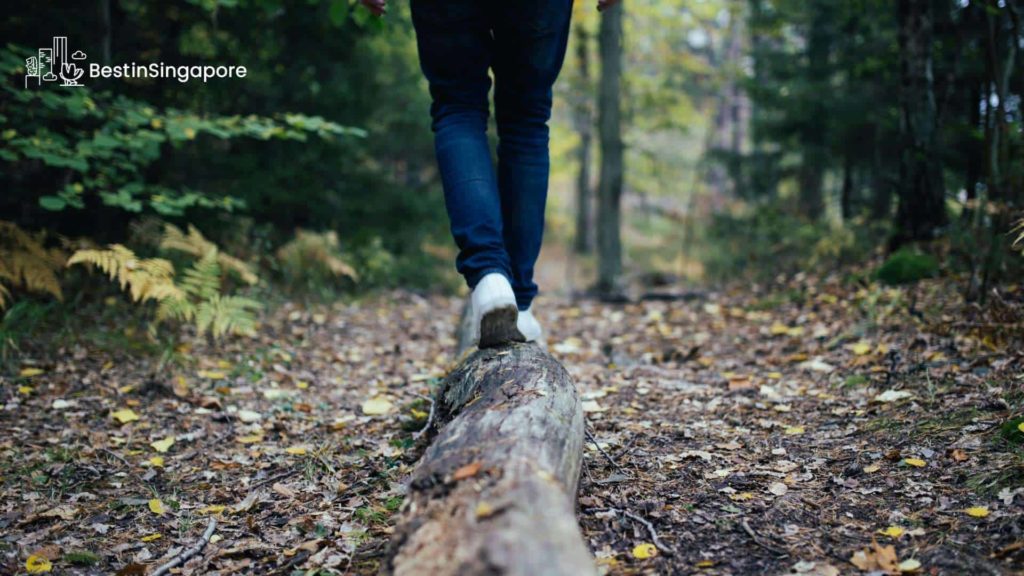 What hiking trails can you explore in and around Bukit Timah Nature Reserve