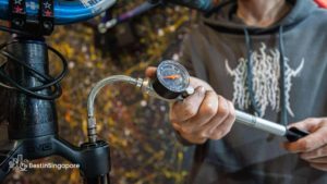What should I bring if I want to go mountain biking in Chestnut Nature Park