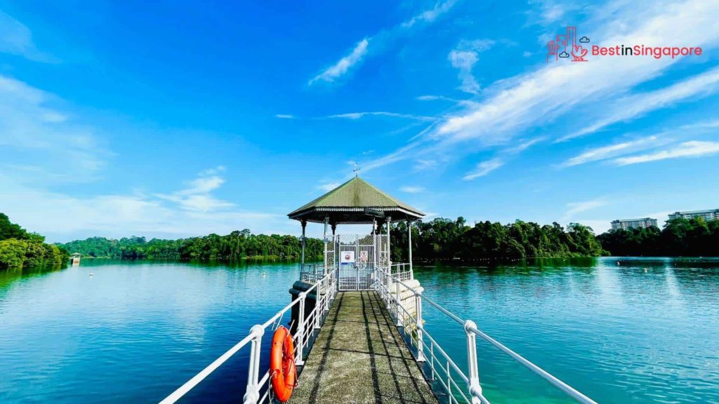 What’s so special about MacRitchie Reservoir