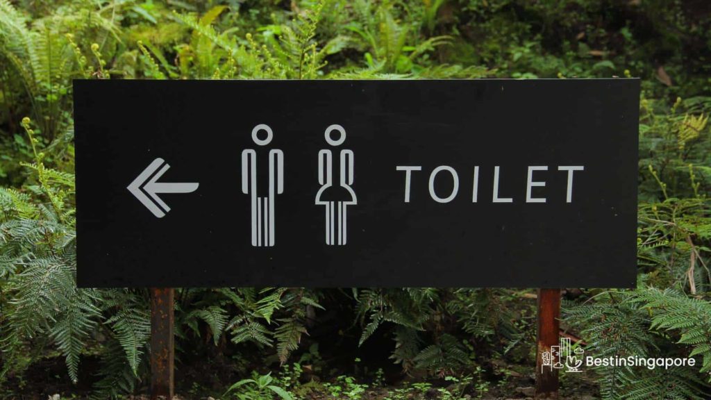 Where can I find restrooms in MacRitchie Reservoir