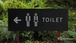 Where can I find restrooms in MacRitchie Reservoir