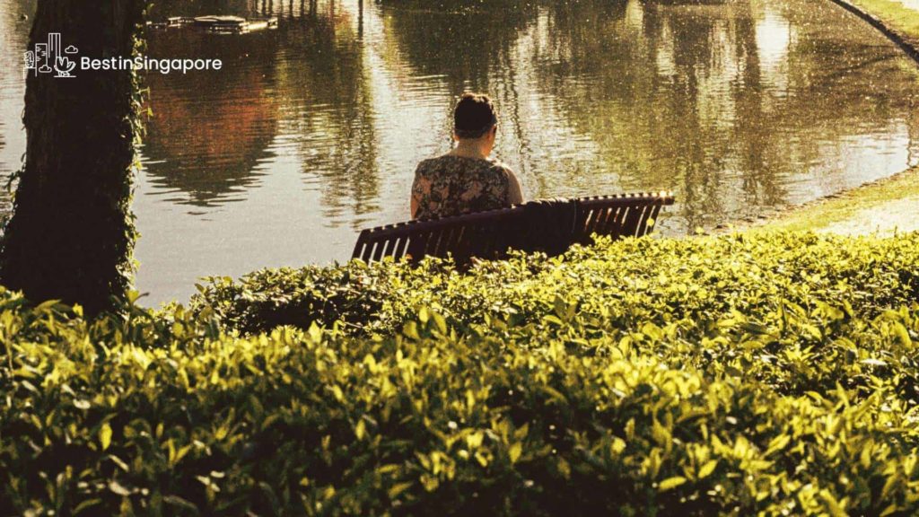 Where can introverts go in Singapore