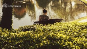 Where can introverts go in Singapore