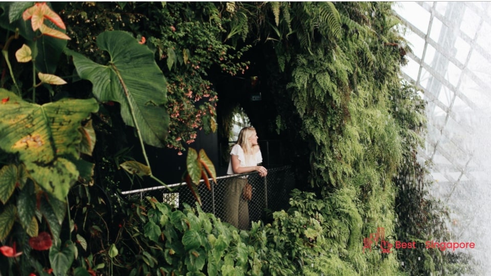 Where to Enjoy Nature in Singapore for Free