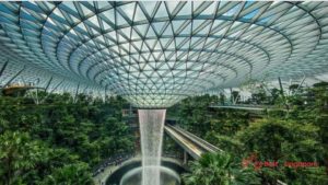Where to Study at Changi Airport