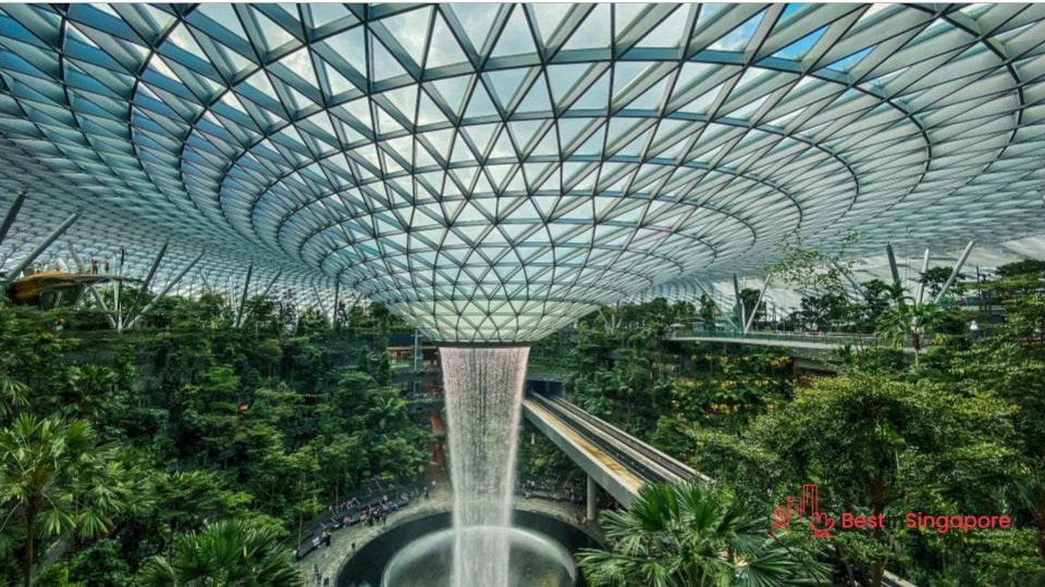 Where to Study at Changi Airport