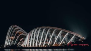 Where to Take Night Photos in Singapore