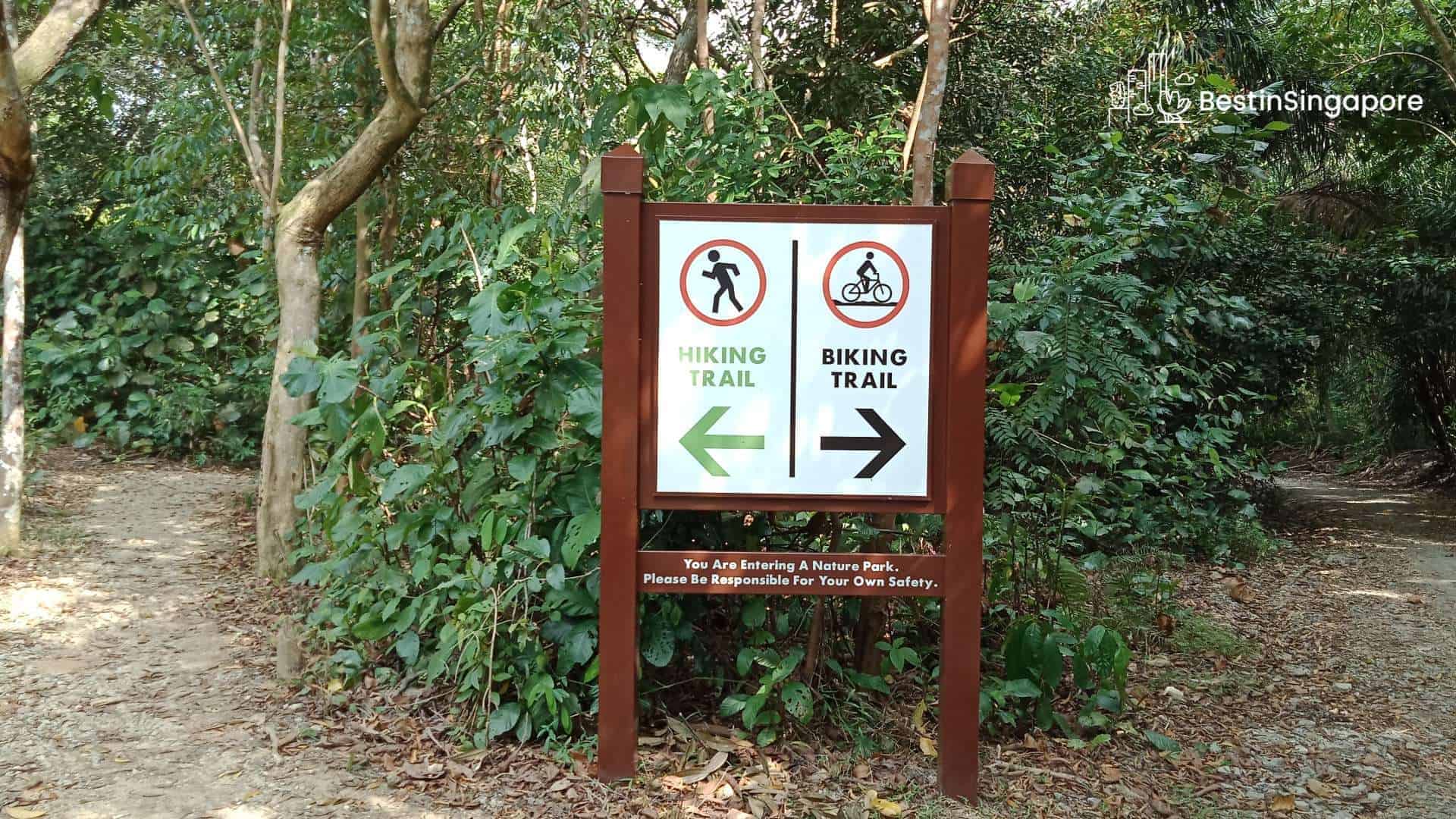 Your Ultimate Guide to Chestnut Nature Park in Singapore