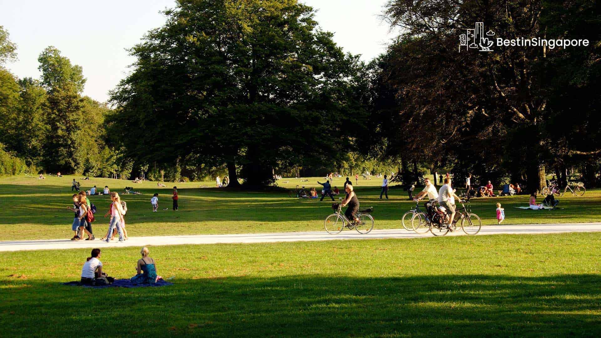 Your Ultimate Guide to West Coast Park