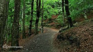 Zhenghua and Chestnut Trail Loop