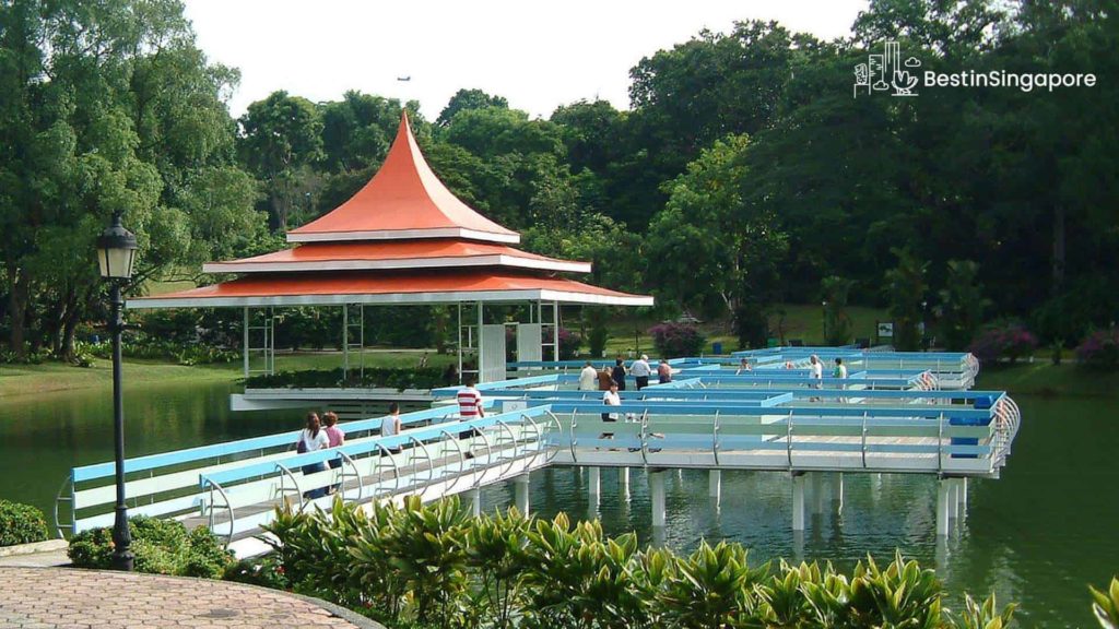Zigzag Bridge