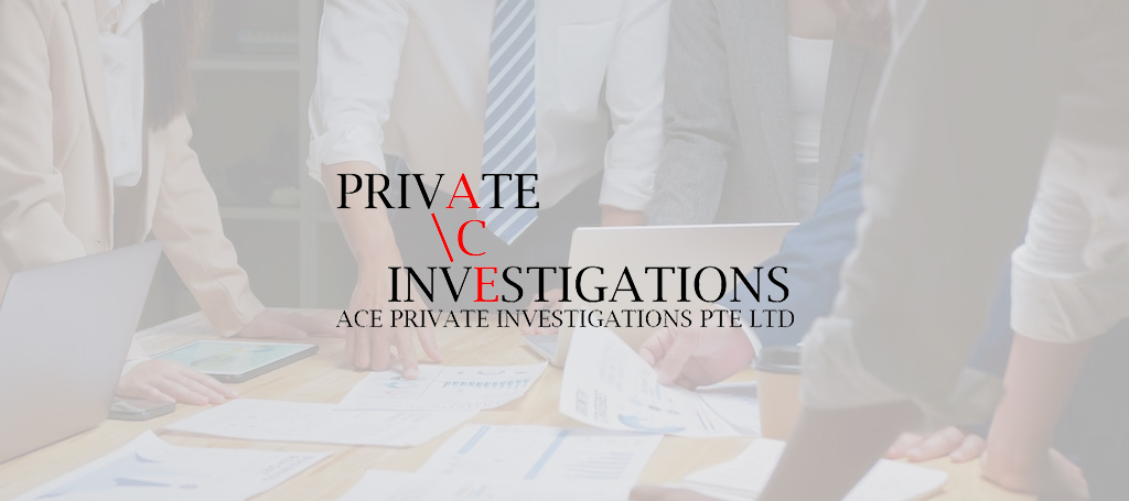 ACE Private Investigations 