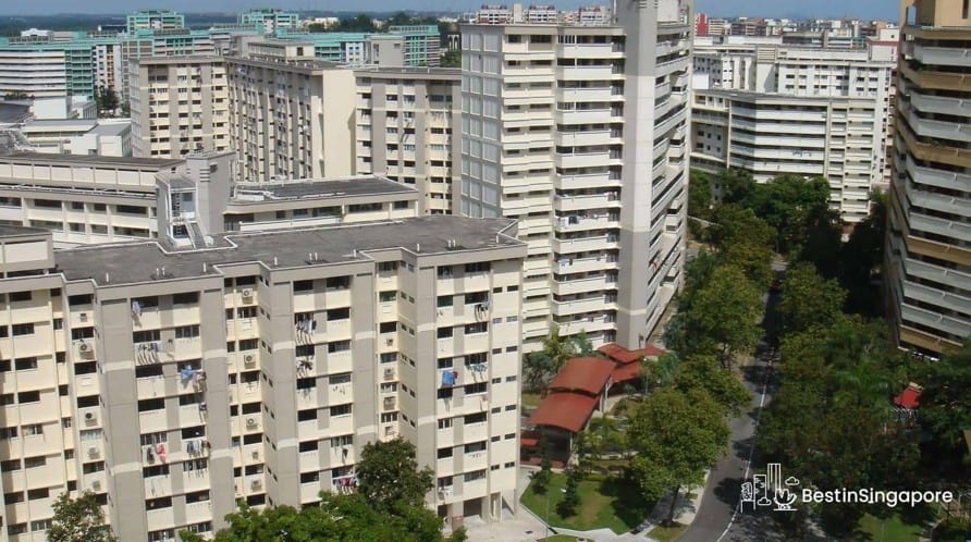 An Underrated Spot in the North A Travel Guide to Yishun