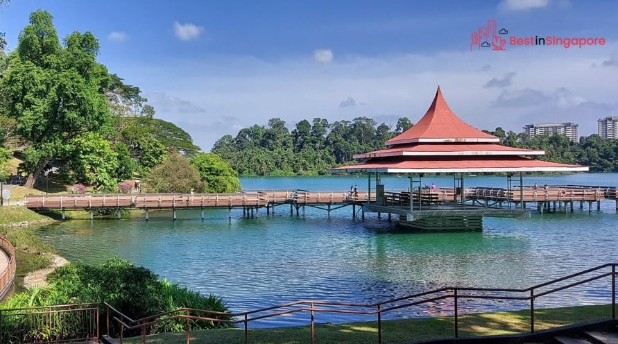 Explore Nature at the Best Reservoir Parks in Singapore