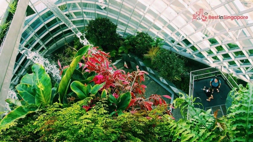 Gardens by the Bay