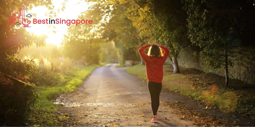 Is Singapore a walkable city