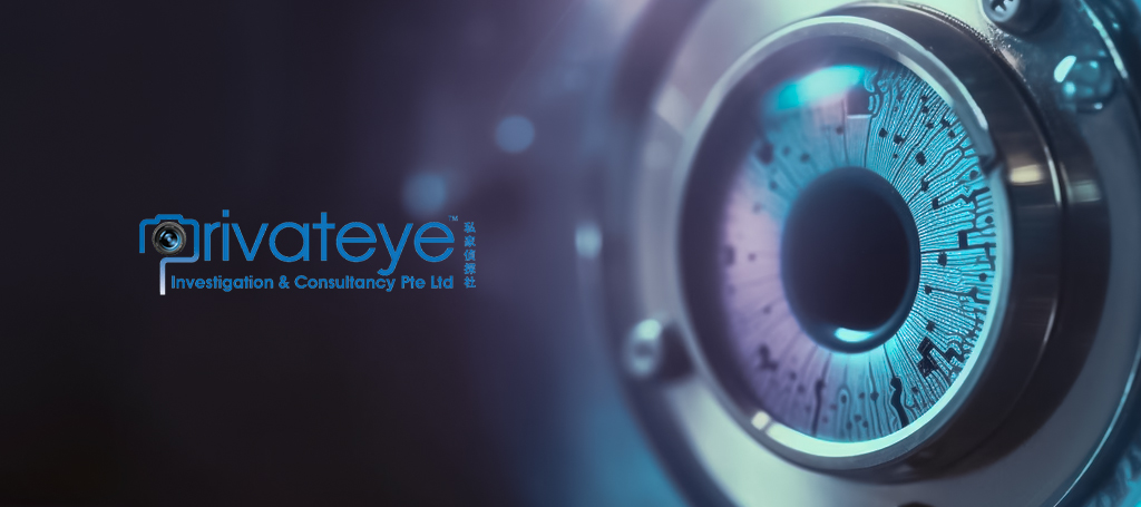 Privateye Investigation and Consultancy