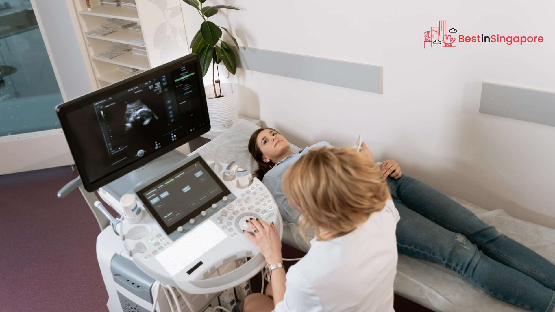 Seeing a Gynecologist in Singapore What You Should Know
