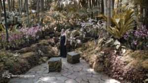 Singapore Botanic Gardens