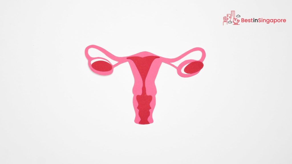 Why should I go to a gynecologist
