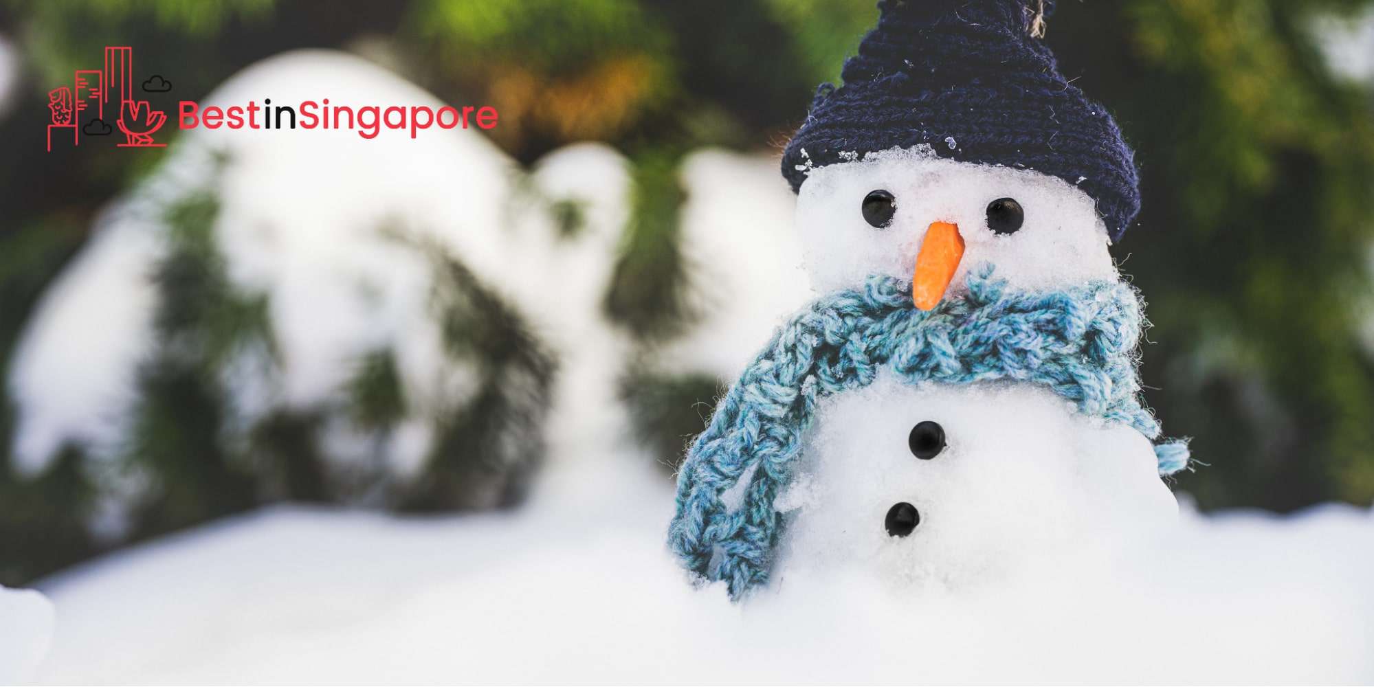 Your Ultimate Guide to Sub-Zero Fun at Snow City Singapore