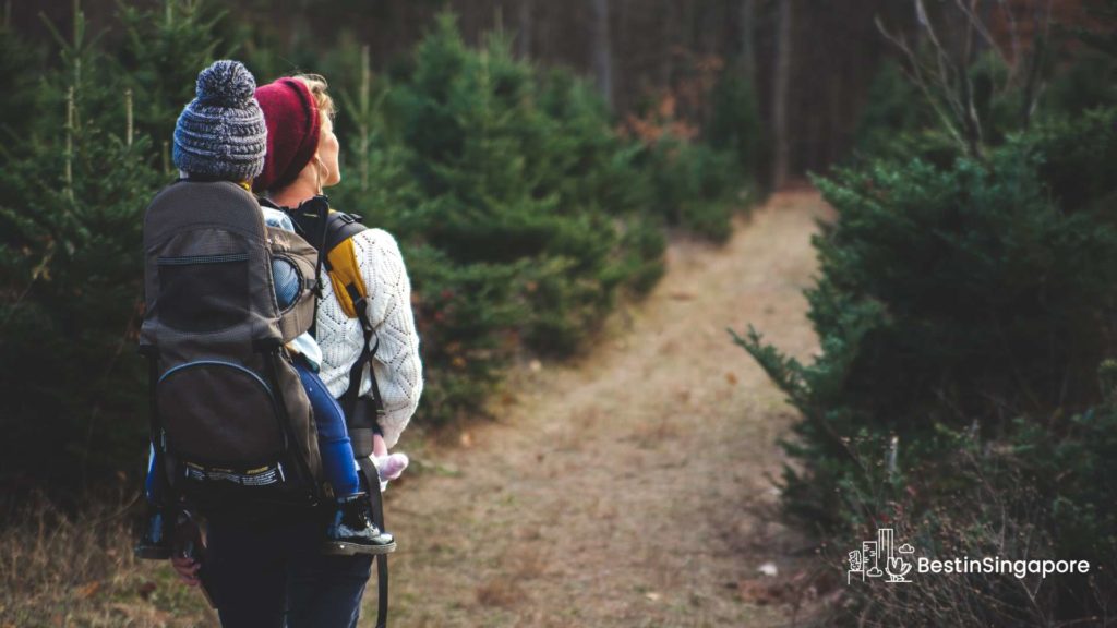 Access to More Outdoor Natural Recreational Activities