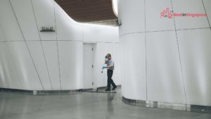Cleaner or Janitor