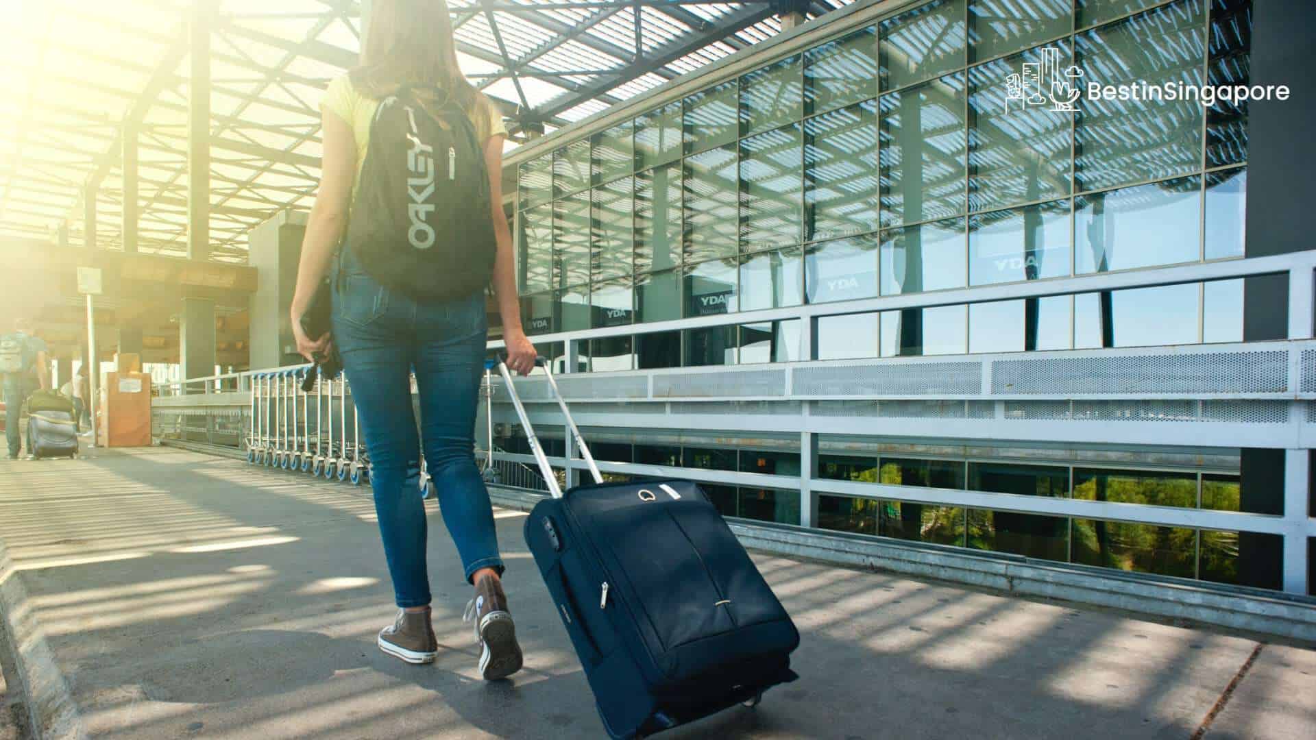 Goodbye, Motherland Why Singaporeans Are Leaving Singapore
