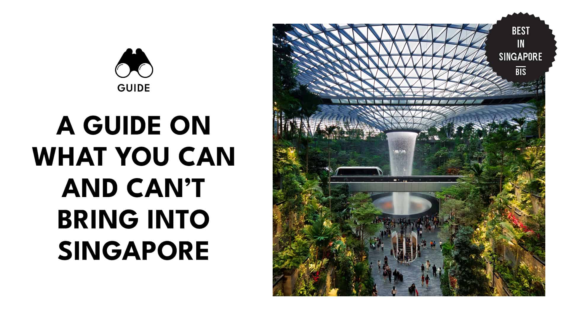 Guide On What You Can And Cant Bring Into Singapore