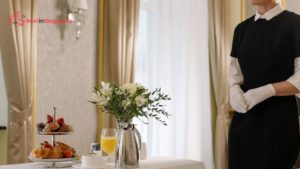 Maid or Domestic Helper