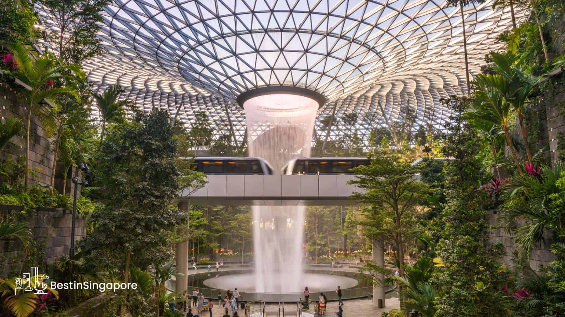 More Than Just an Airport Why Changi Airport Is the Best