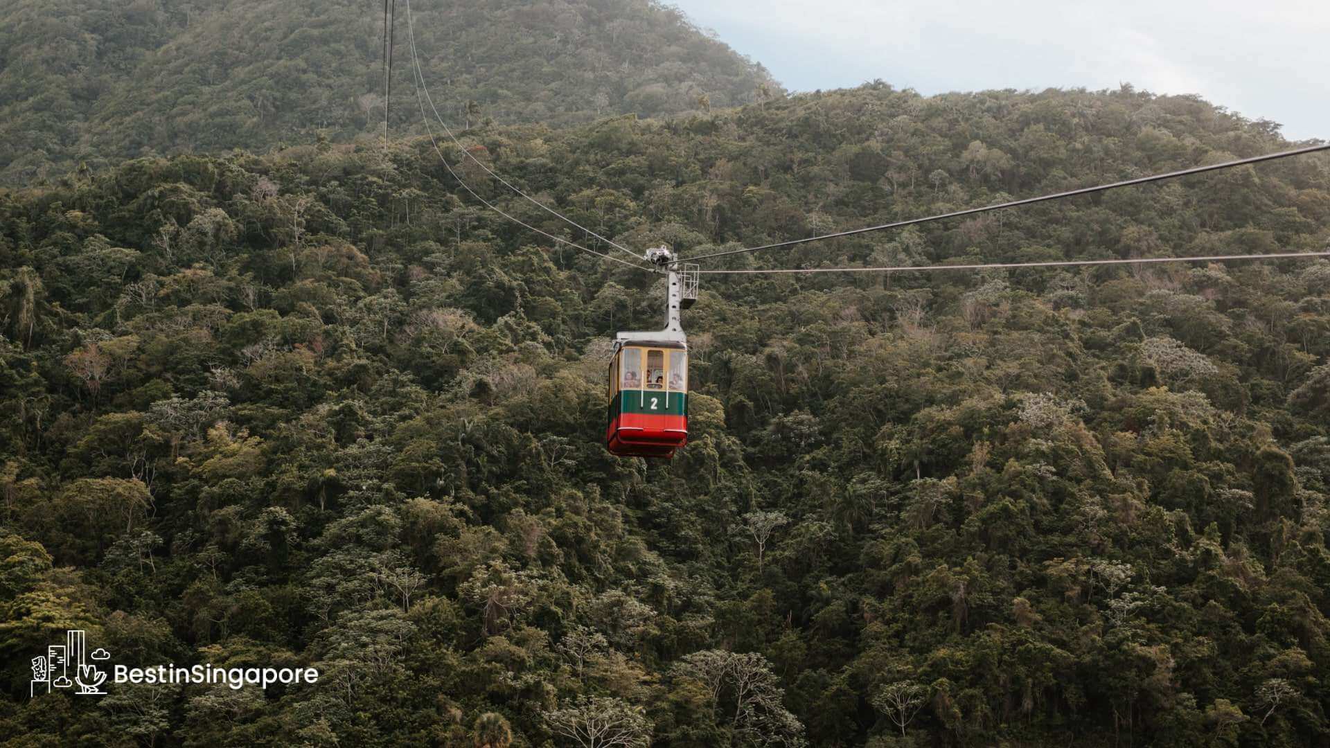 A Fun Way to Commute Your Guide to The Singapore Cable Car
