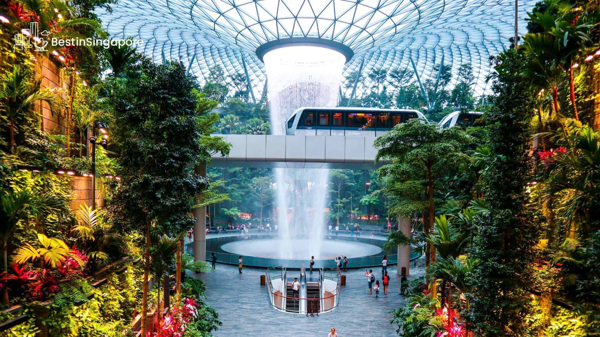 A Paradise Within Top Attractions in Jewel Changi Airport