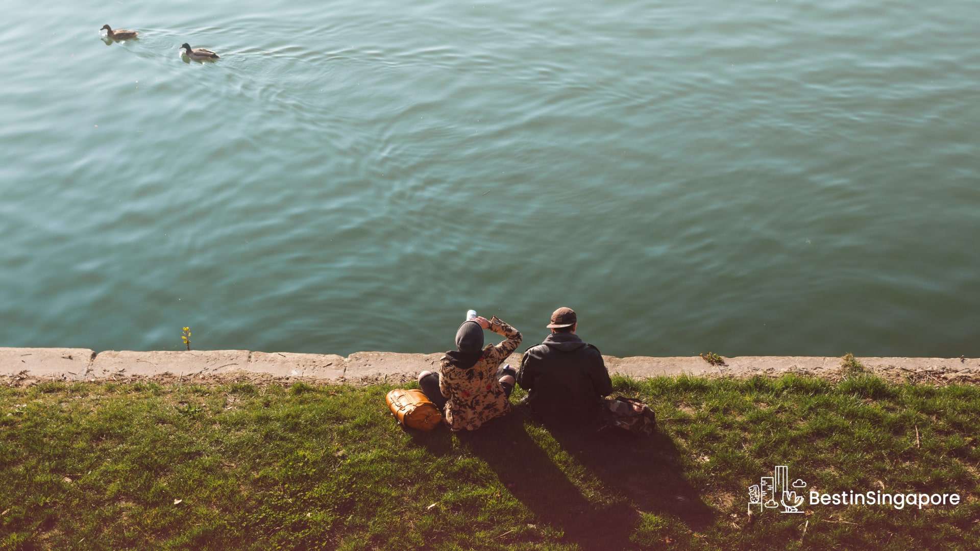 A Peaceful Escape Your Ultimate Guide to Yishun Dam