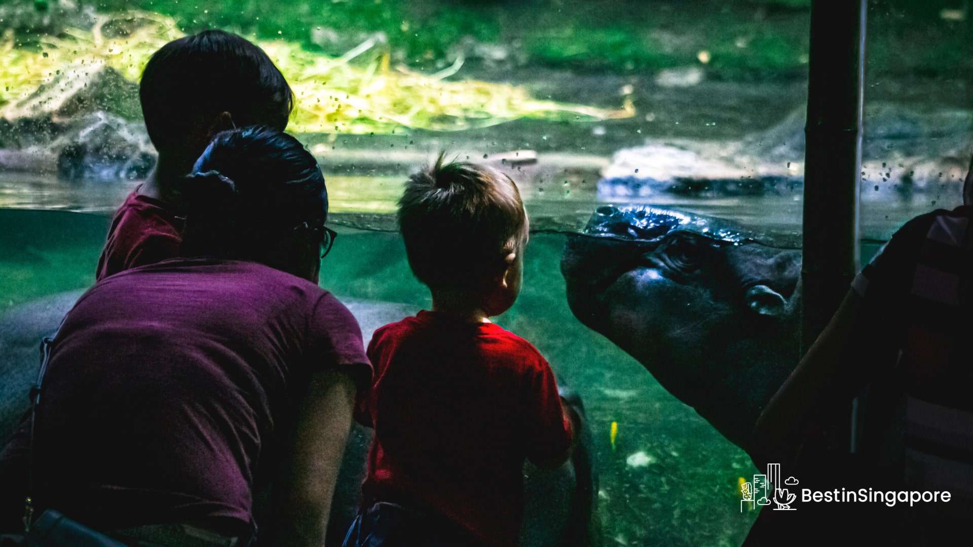 A Wide, Wild World A Guide to the Mandai Reserve Area