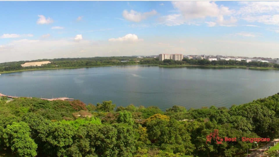 Discovering Bedok Reservoir Park's Hidden Oasis