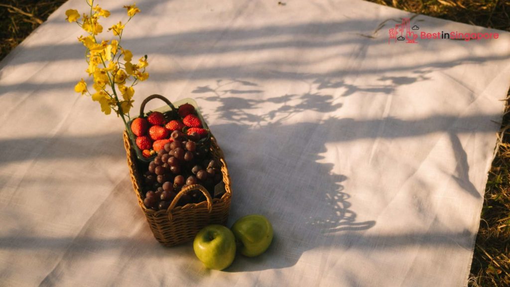 Enjoy a picnic with loved ones