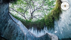 Go Forth! Unveiling Fort Canning Park’s Secrets
