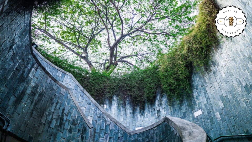 Go Forth! Unveiling Fort Canning Park’s Secrets